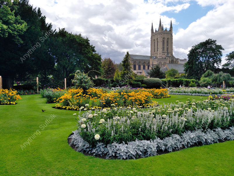 Abbey Gardens and St Edmundsbury Cathedral by Hazel Calver