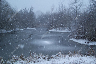 Needham Lake in the snow by Helen Fairweather