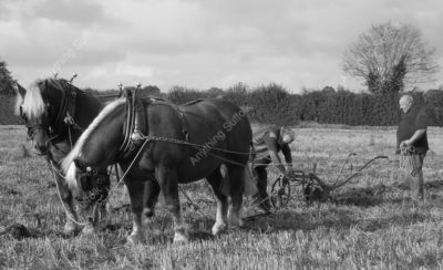 Bucklesham Plough Day by Deborah Soer