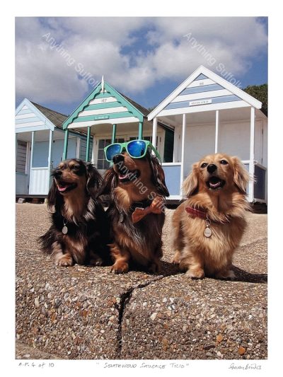 Sausage Dogs at Southwold by Steven Binks