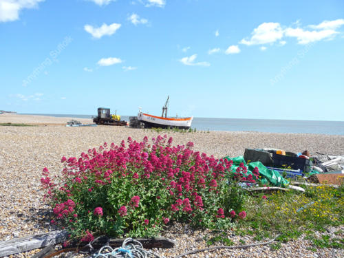 Aldeburgh beach by David Mayhew