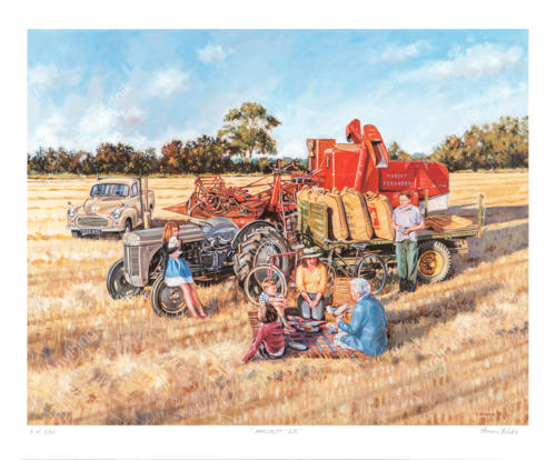 Harvest 65 by Steven Binks