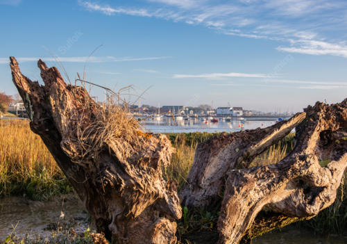 Woodbridge Tide Mill by James Langlois