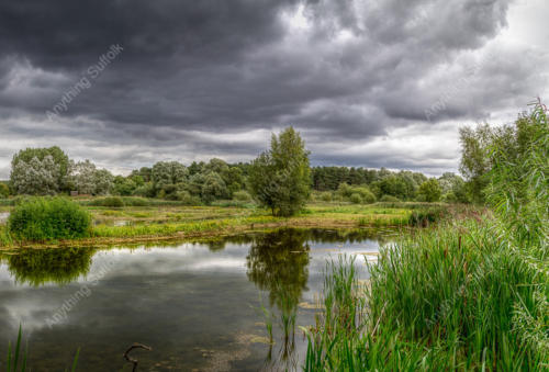 Lackford Lakes by Frank Hendre