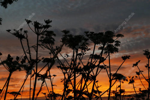 Old Newton Sunset by Phil Stearn
