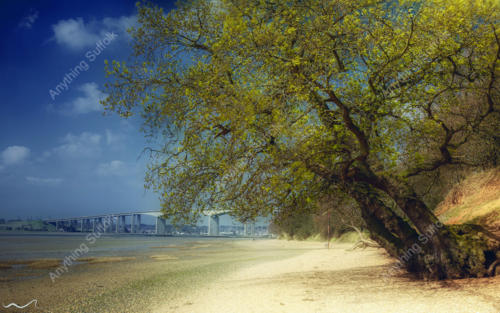 Orwell Country Park and Orwell Bridge by Steve Stoddart