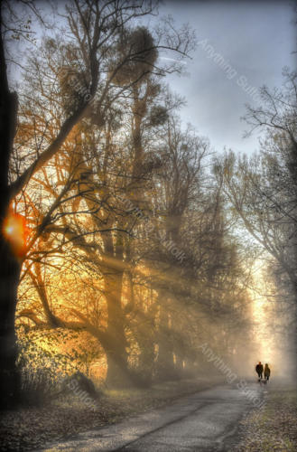 Winter Dog Walkers, Kentwell Hall by Steve Thomson